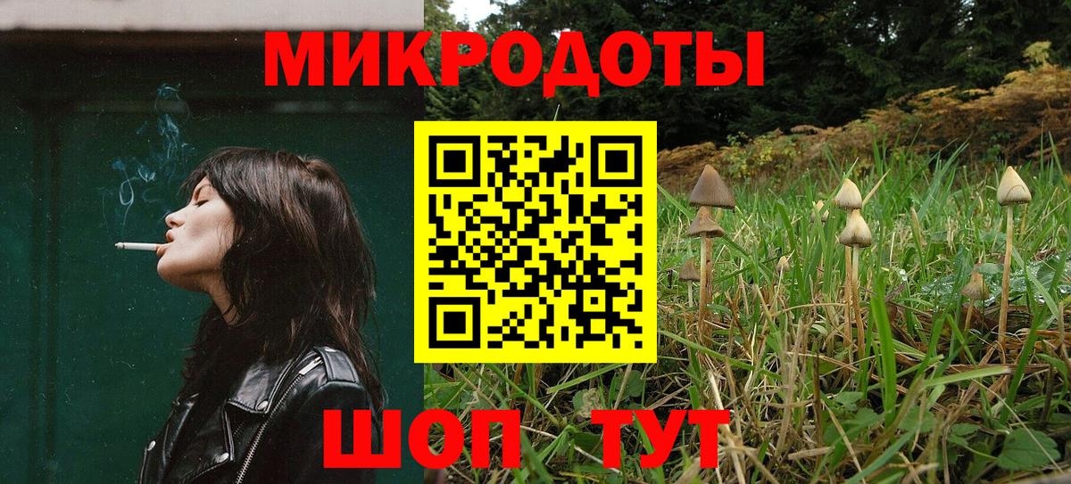 Киреевск  Галлюциногенные грибы Psilocybe  Вход с VPN 