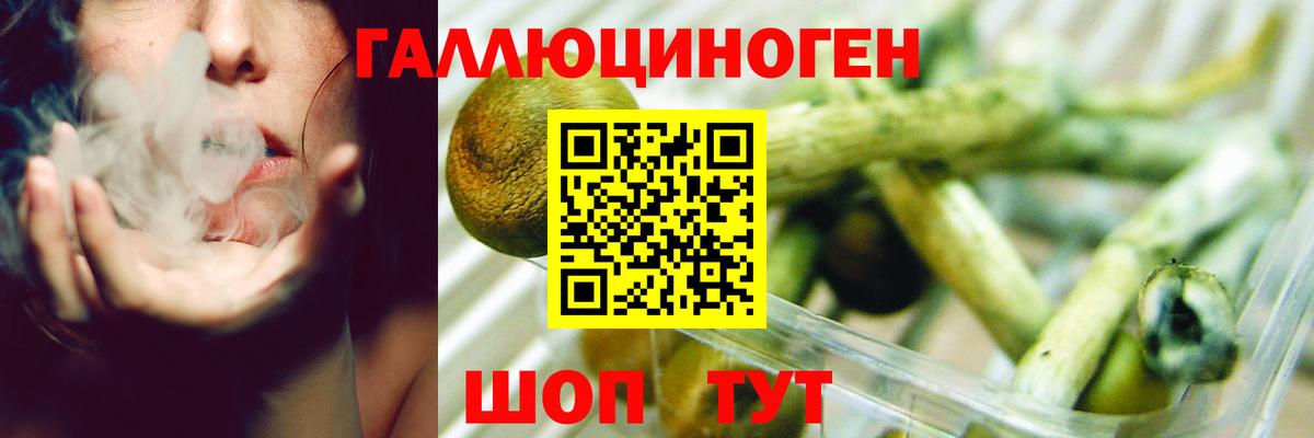 Псилоцибиновые грибы мицелий Киреевск